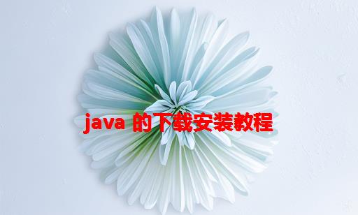 Java 的下载安装教程